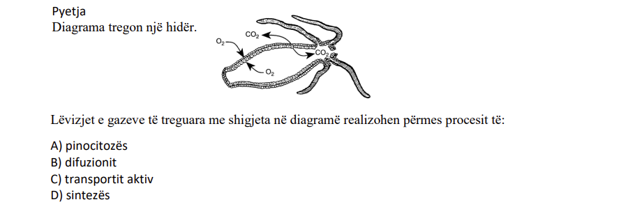 Pyetja 338