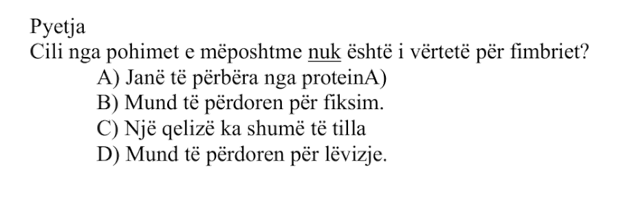 Pyetja 531