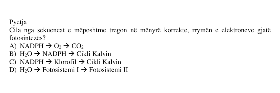 Pyetja 12