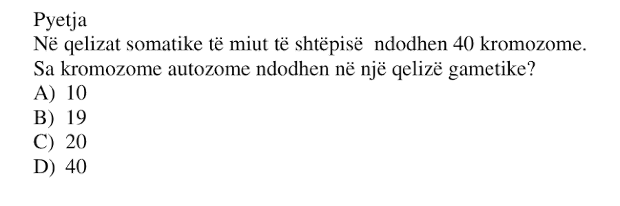 Pyetja 121