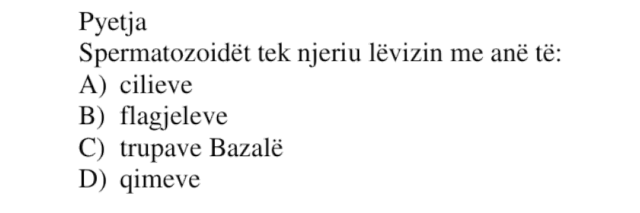 Pyetja 261