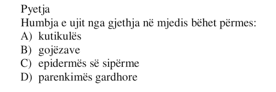Pyetja 785