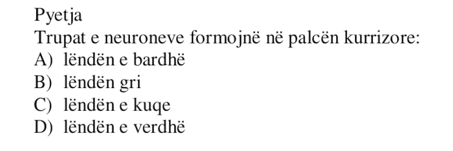 Pyetja 858